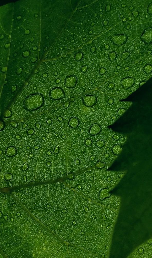 Photograph by Ирина Алпацкая