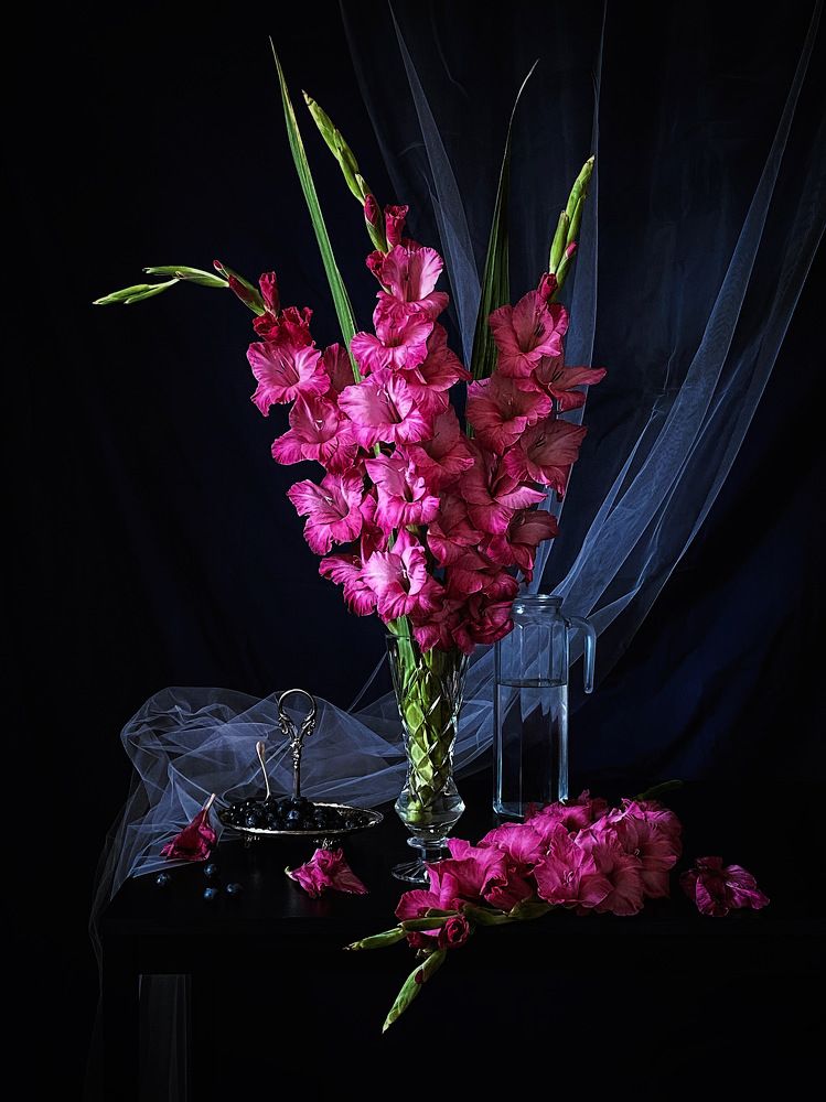 Голубичные гладиолусы