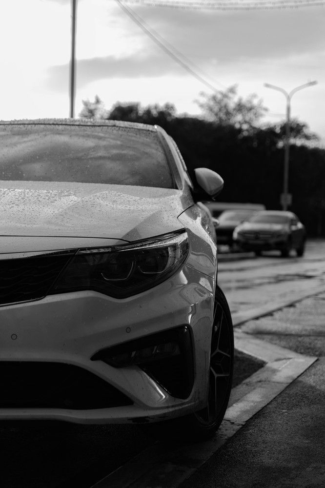 Photograph by Anna Borodina