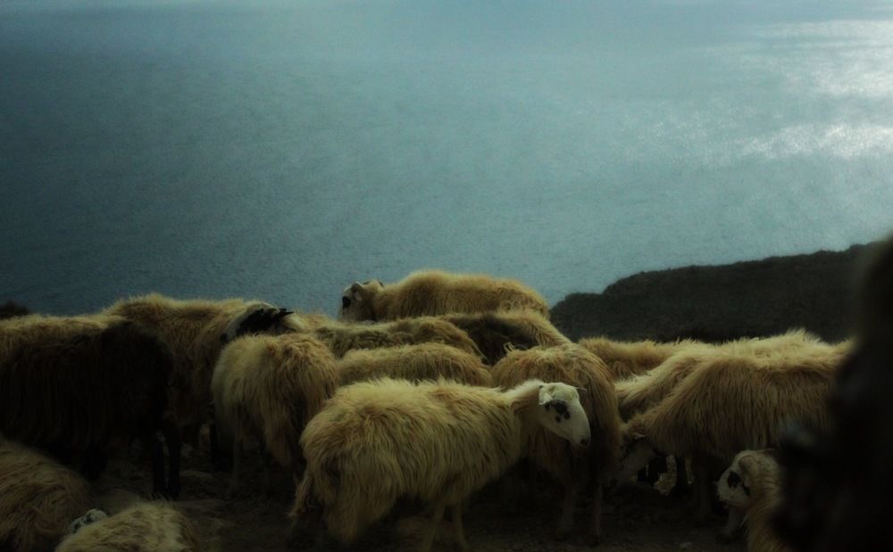 Photograph by Егорова Александра