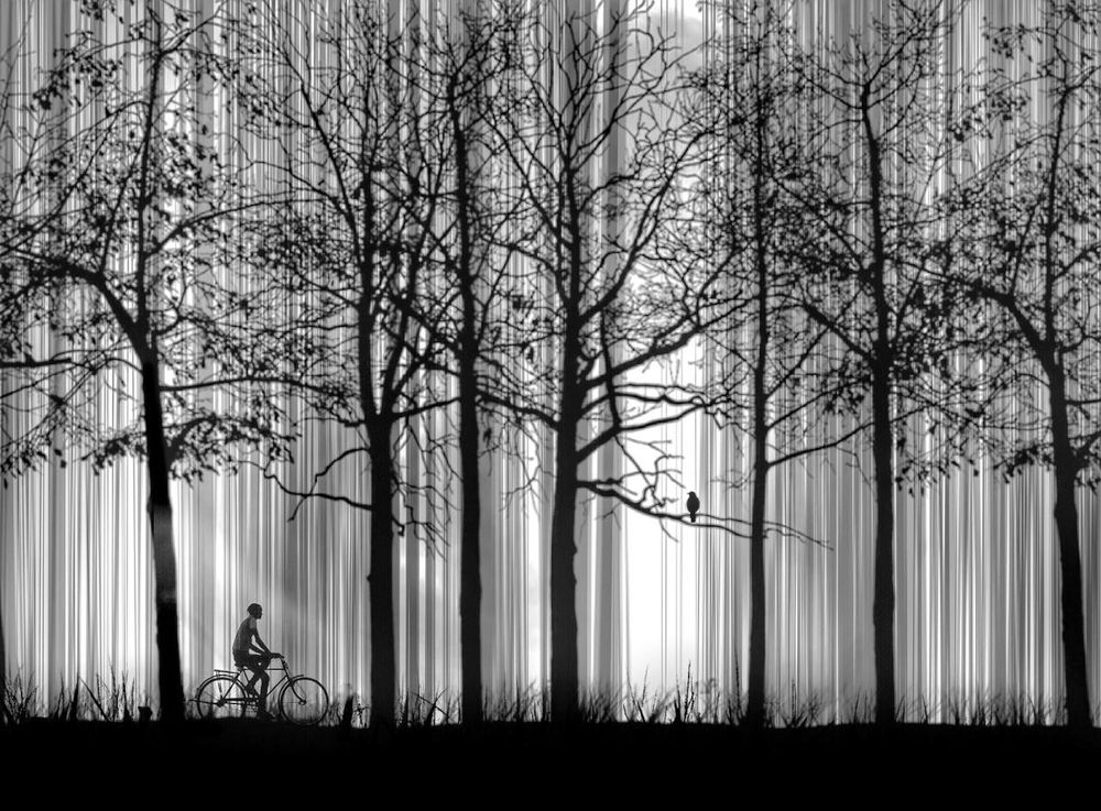 Фотография автора Mojtaba Gitinezhad