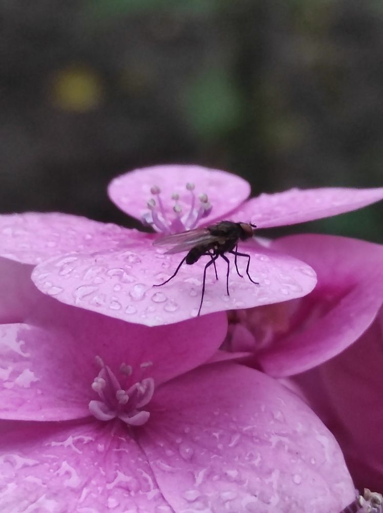 Photograph by Луиза Баширова