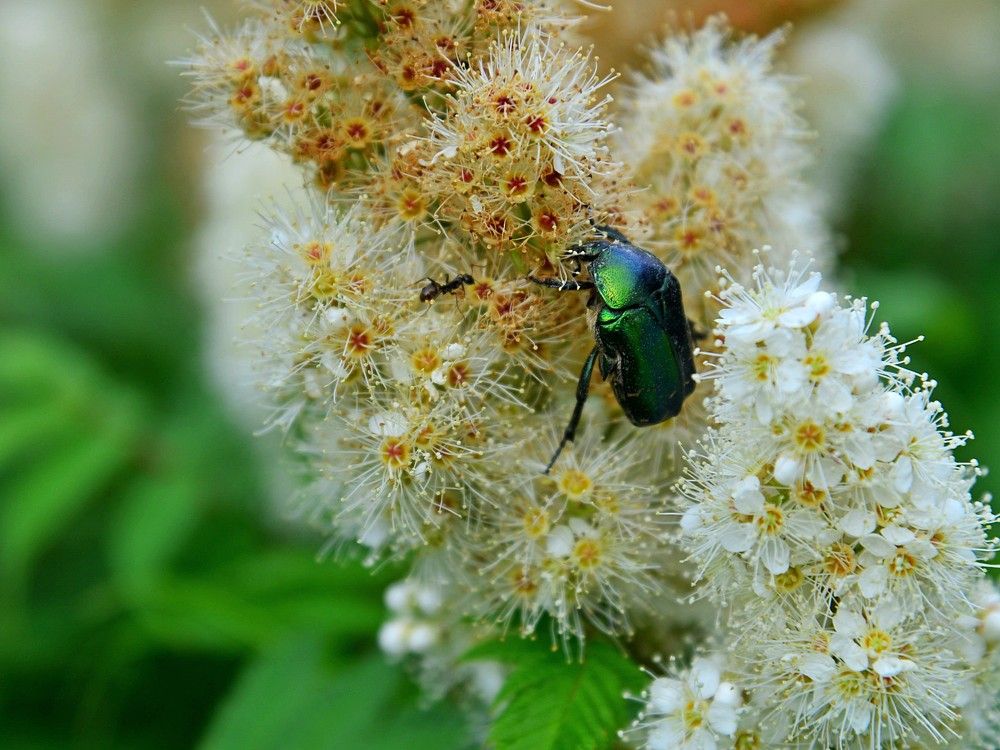 Photograph by Людмила