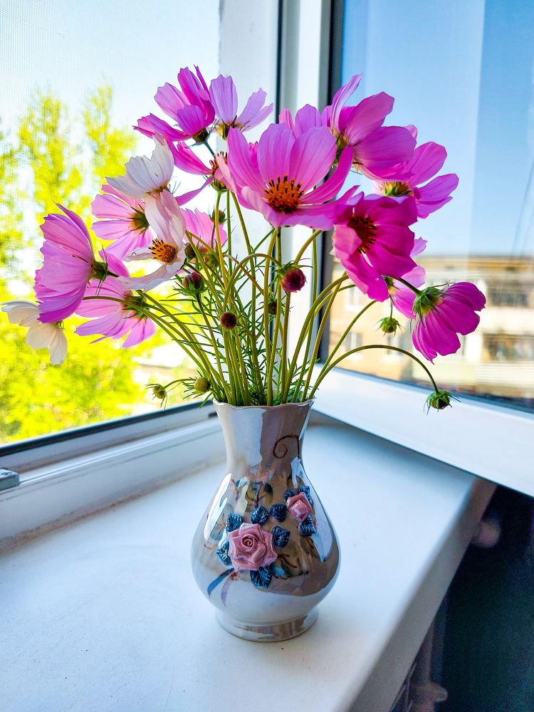 Photograph by Елена Жеребцова