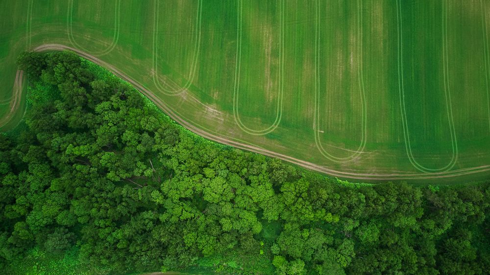 Фотография автора Вадим Бороненков