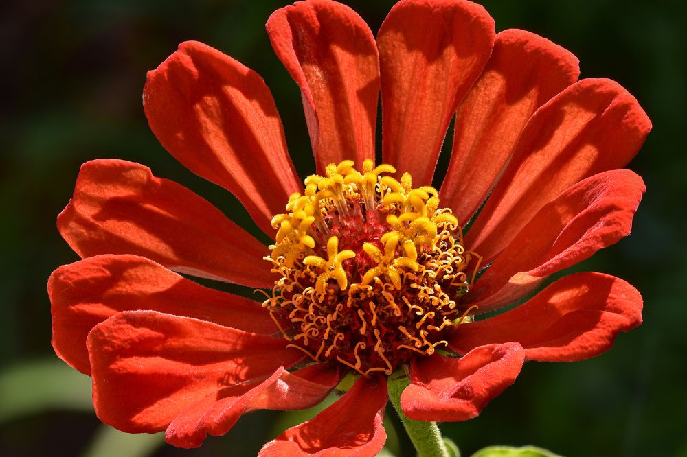 Photograph by Mert Rasim