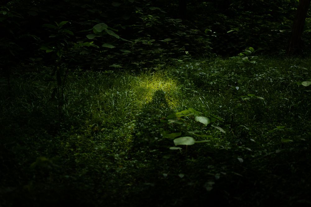 Photograph by Md. Shariful Islam Pavel