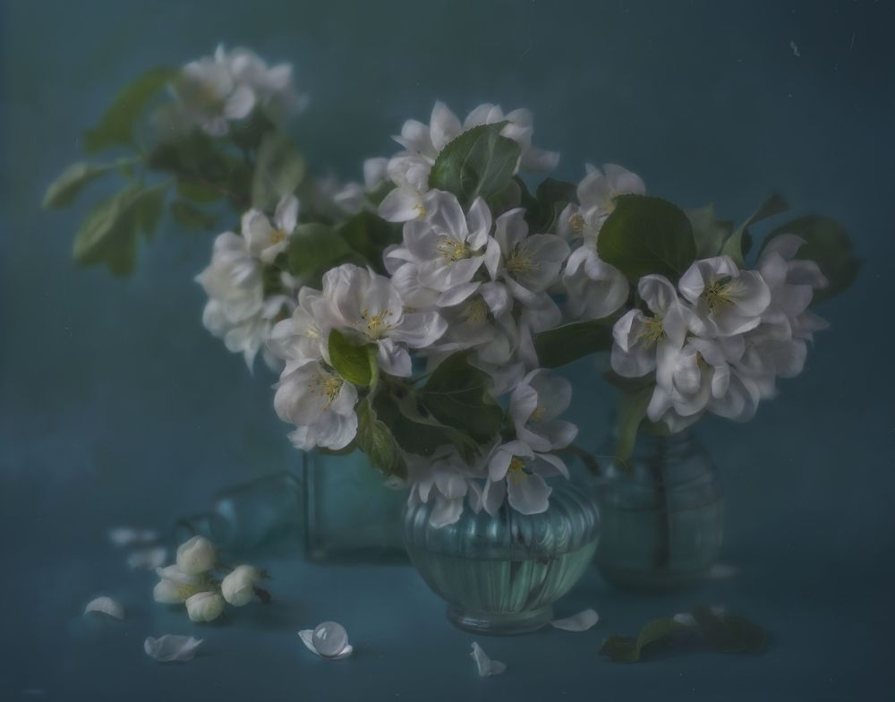 Photograph by Andreeva Svoboda