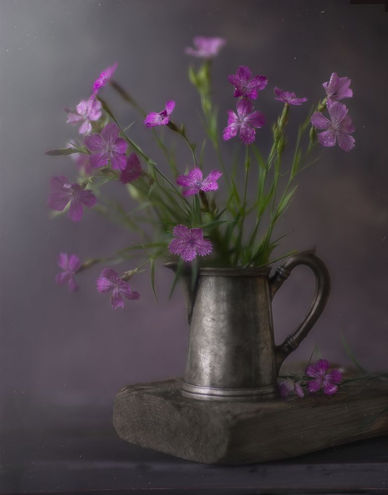 Photograph by Andreeva Svoboda