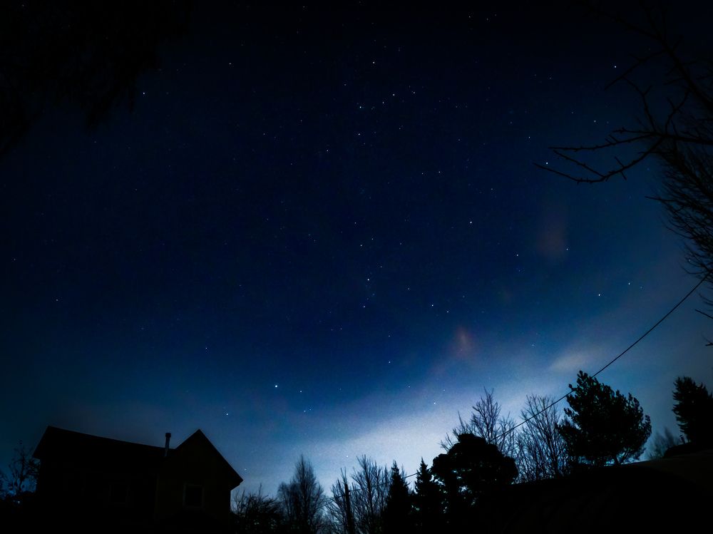 Photo #7842469