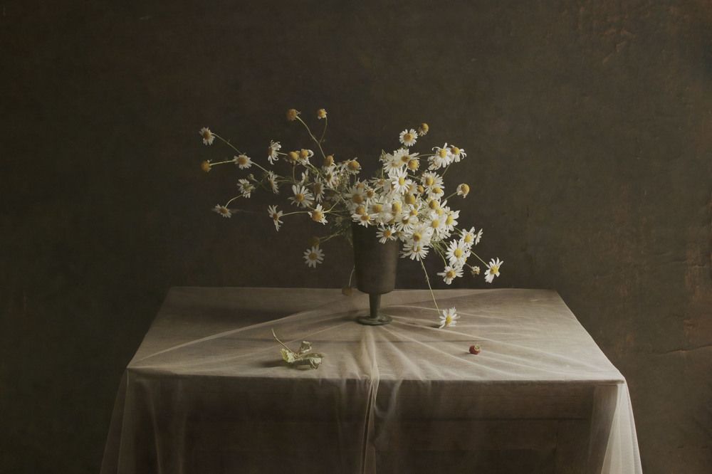 Фотография автора Коршак Елена