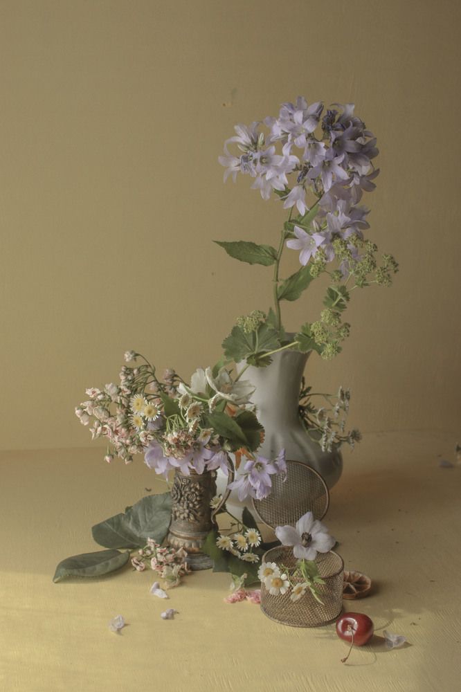 Фотография автора Коршак Елена