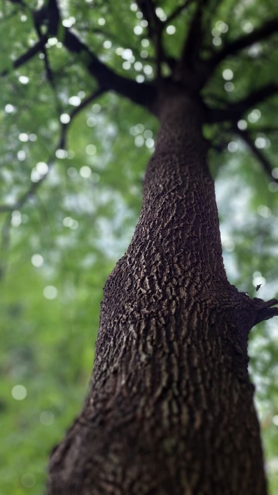 Photograph by Swapnil Kale