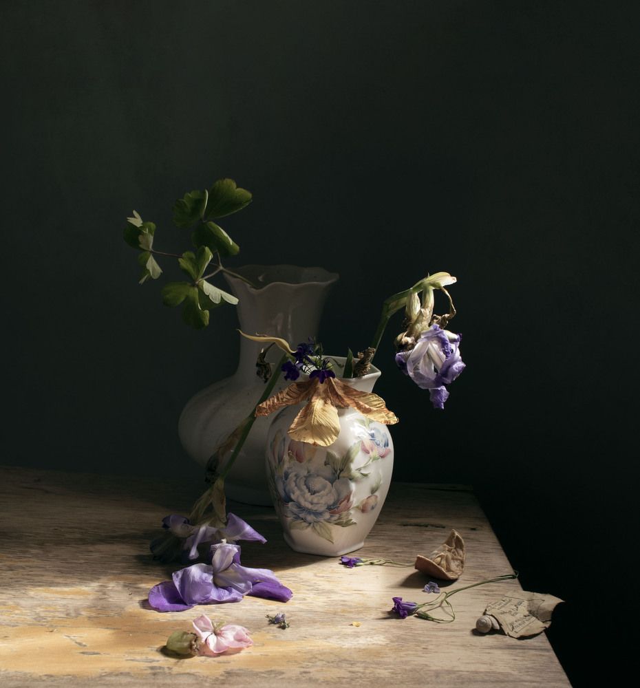 Фотография автора Коршак Елена