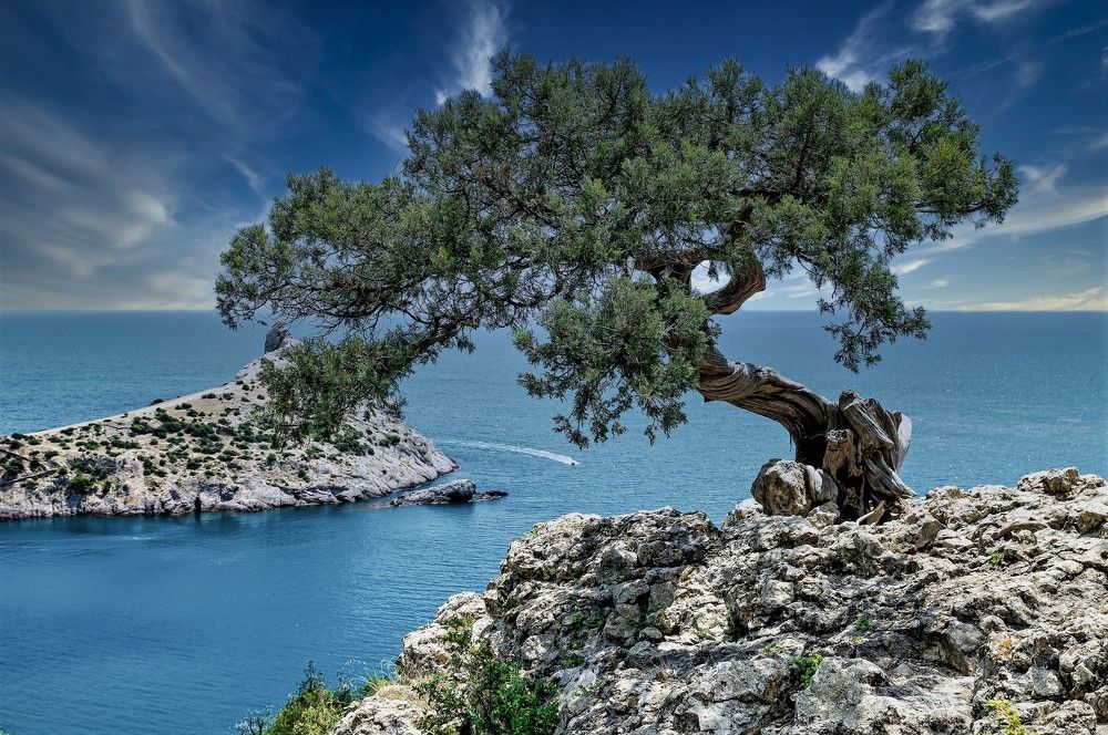 Новый Свет. Вид на мыс Капчик с мыса Караул-Оба