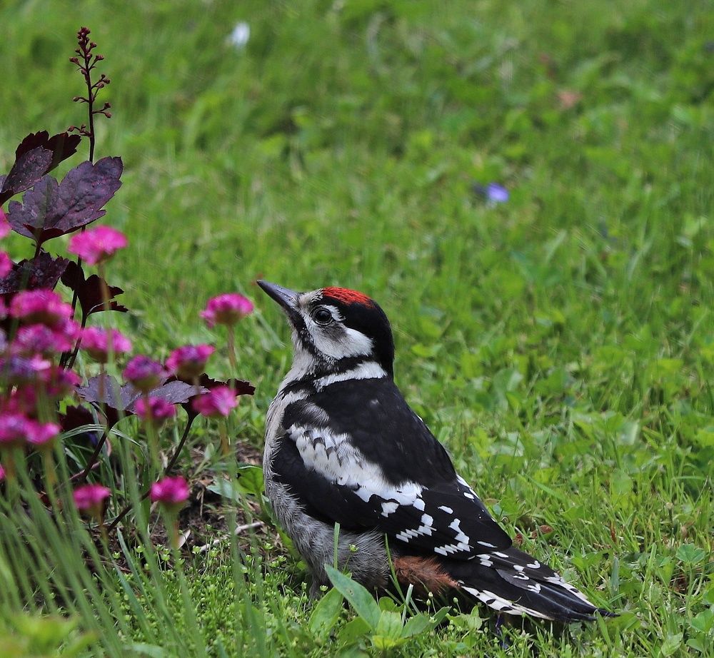 Малыш осваивает окружающий мир
