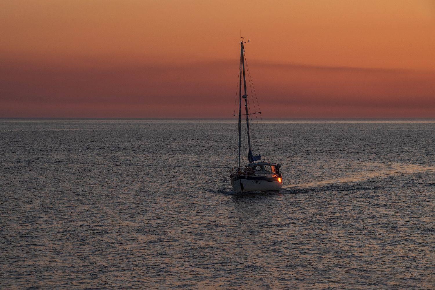 Фотография #7842851