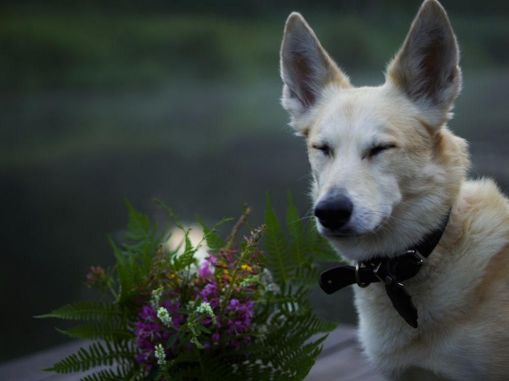 Photo #7842868