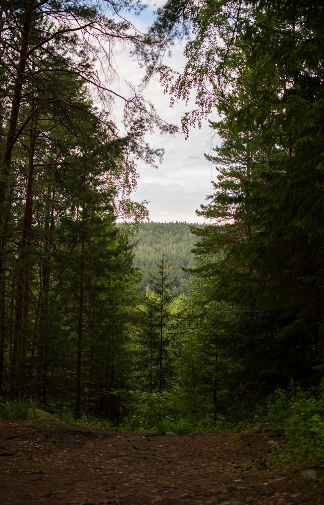 Photograph by Валерия Бебенина