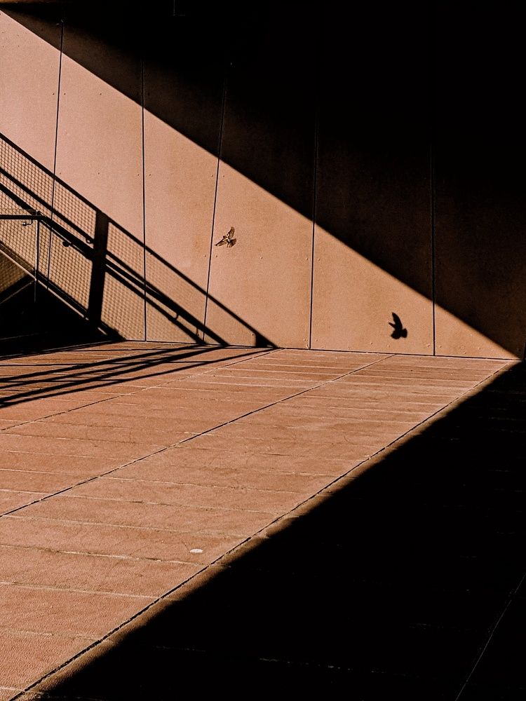 Photograph by Елизавета Несмиян