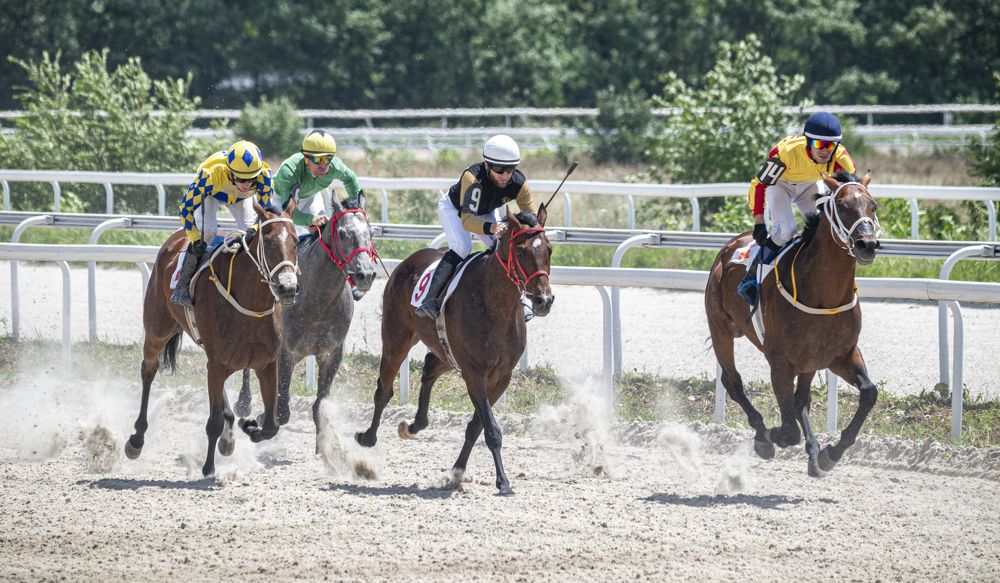 Photograph by Сергей Савчук