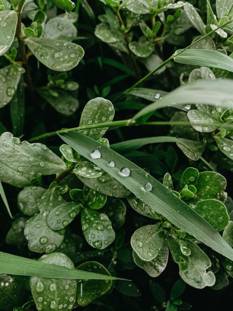 Photograph by Oksana Yurasova