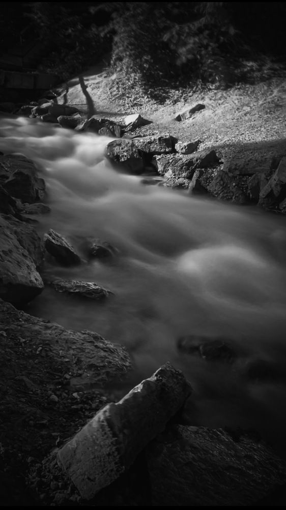 Photograph by Елена Алименко