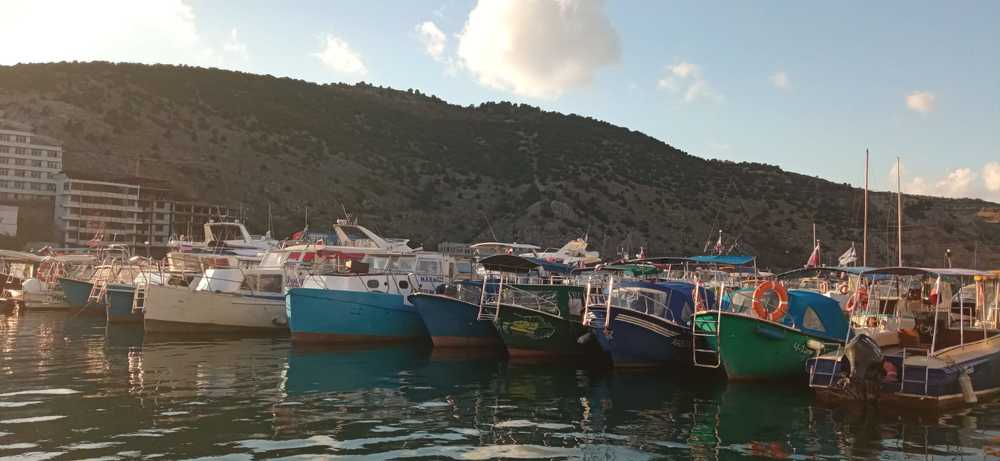 Photograph by Мария Баннова