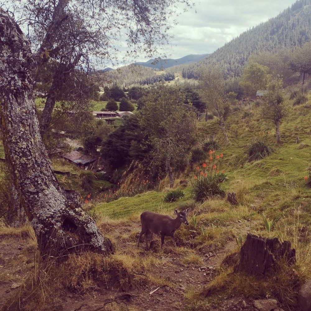 Photograph by Konstantin