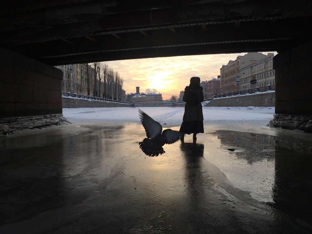 Фотография #7843026