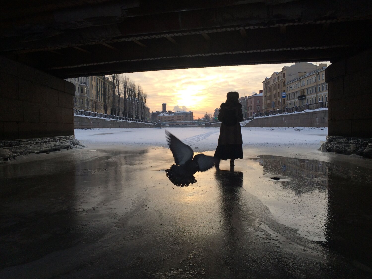 Photo #7843026