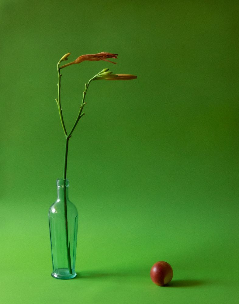 Photograph by Анна Статейко