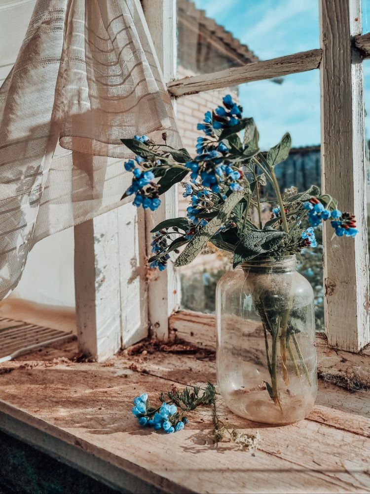 Photograph by Екатерина