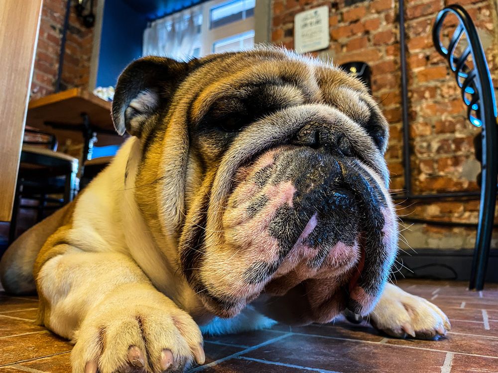 Photograph by Vikernes