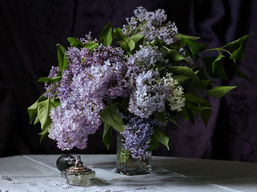 Photograph by Анжелика Медведева