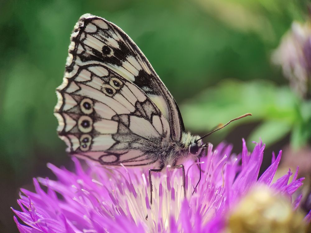 Photograph by Дина Горбачёва