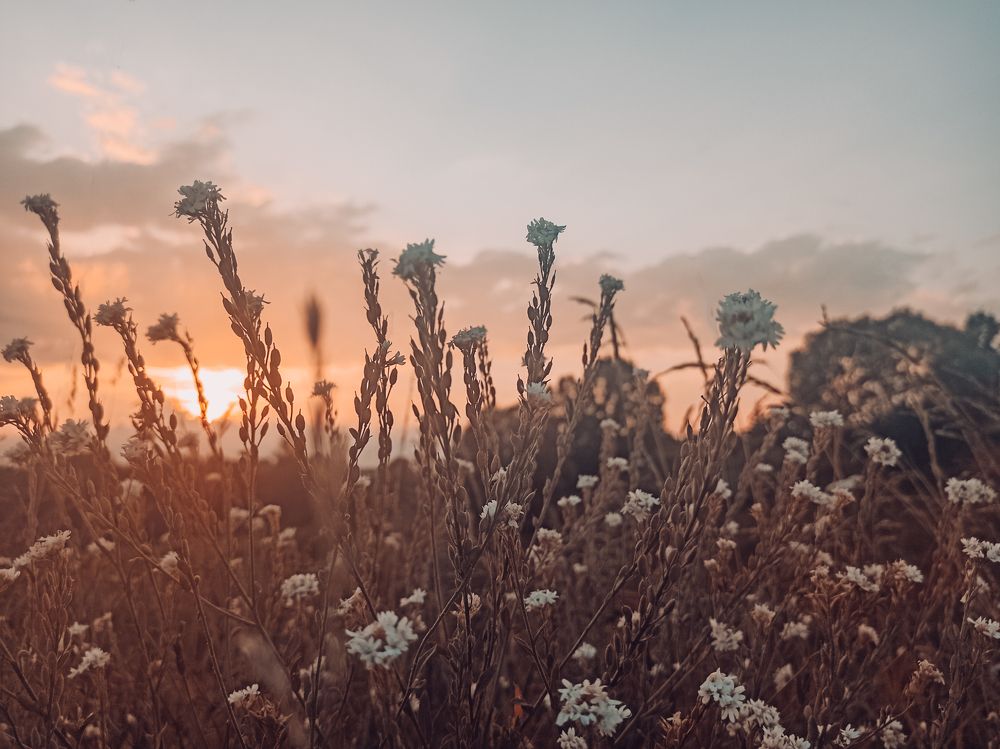 Photograph by Нестерова Карина