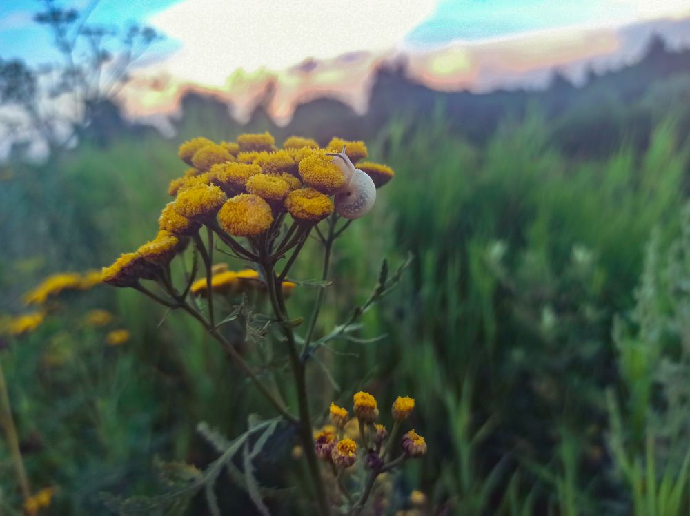 Photograph by Нестерова Карина