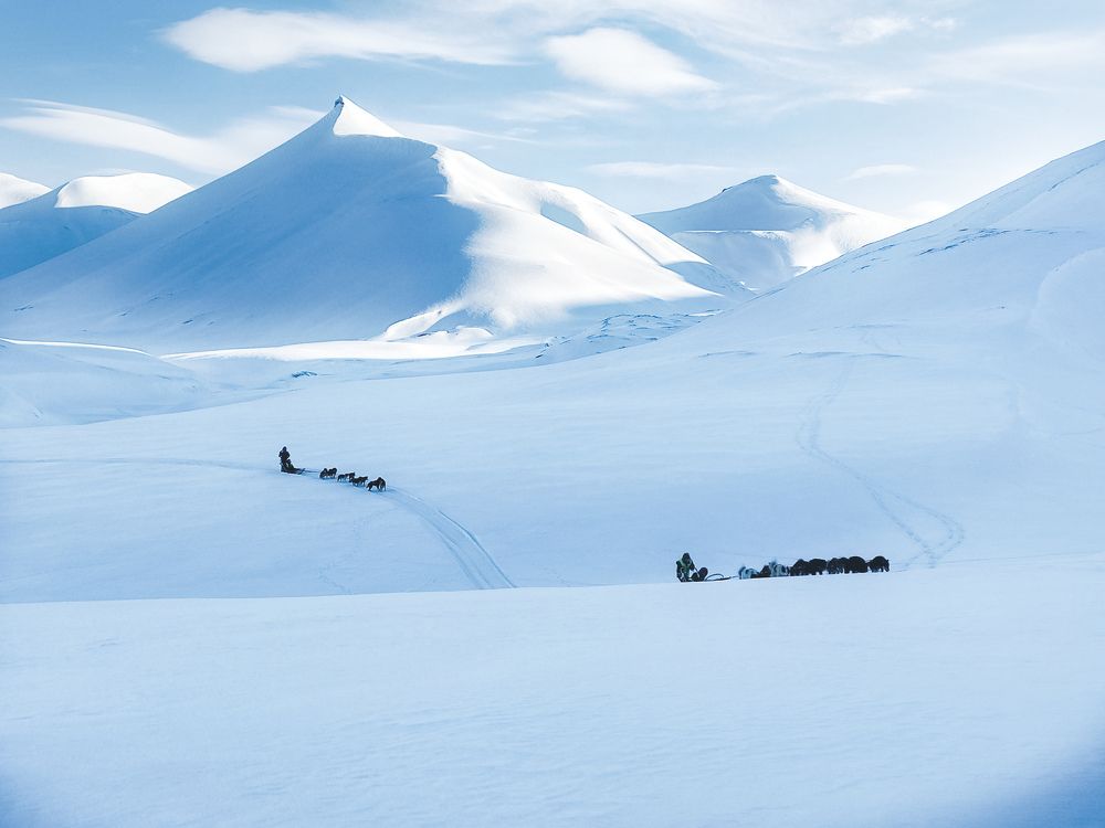 Photograph by Валентина Комарова