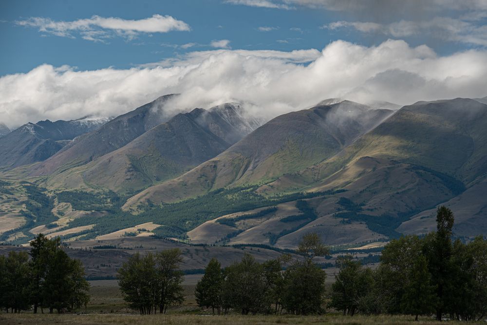 Photograph by Kurlov Aleksei