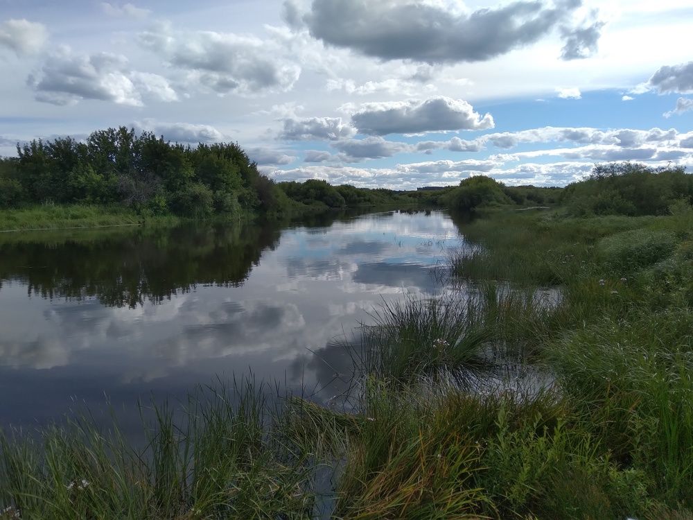 Photograph by Лида