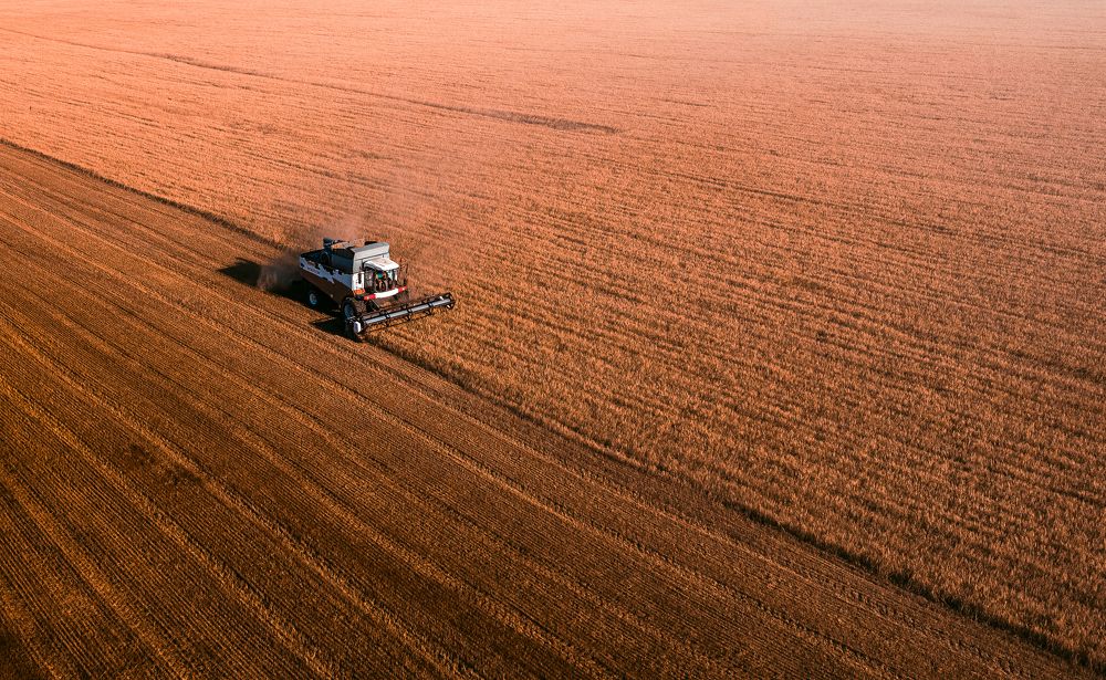 Photograph by Александр Шинкаревский