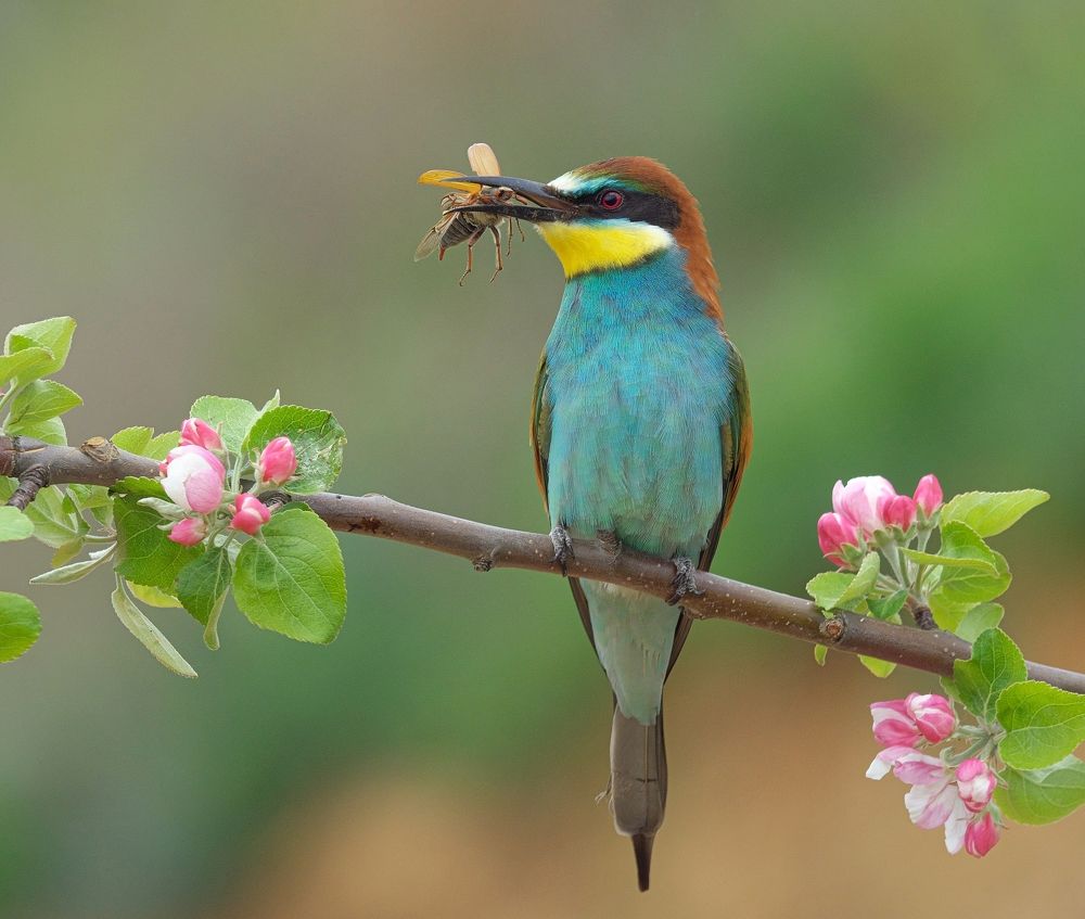 Photograph by Олег Есиков