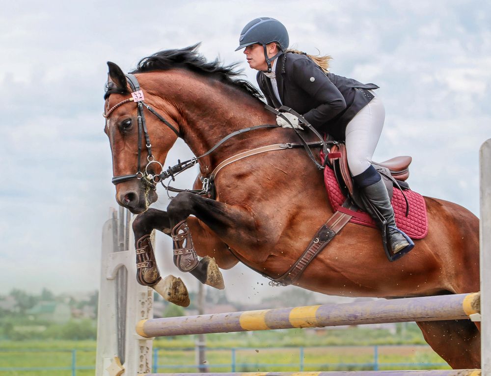 Photograph by Любовь Похабова