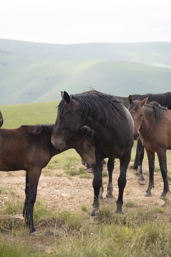 Photograph by Маргарита Богуславская