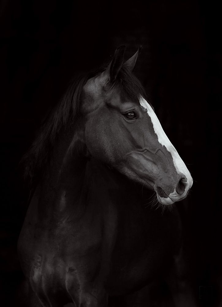 Photograph by Любовь Похабова