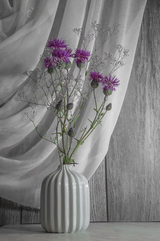 Ах, ... Эти полевые цветы!