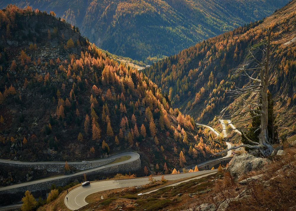 Photograph by Boris Bekelman