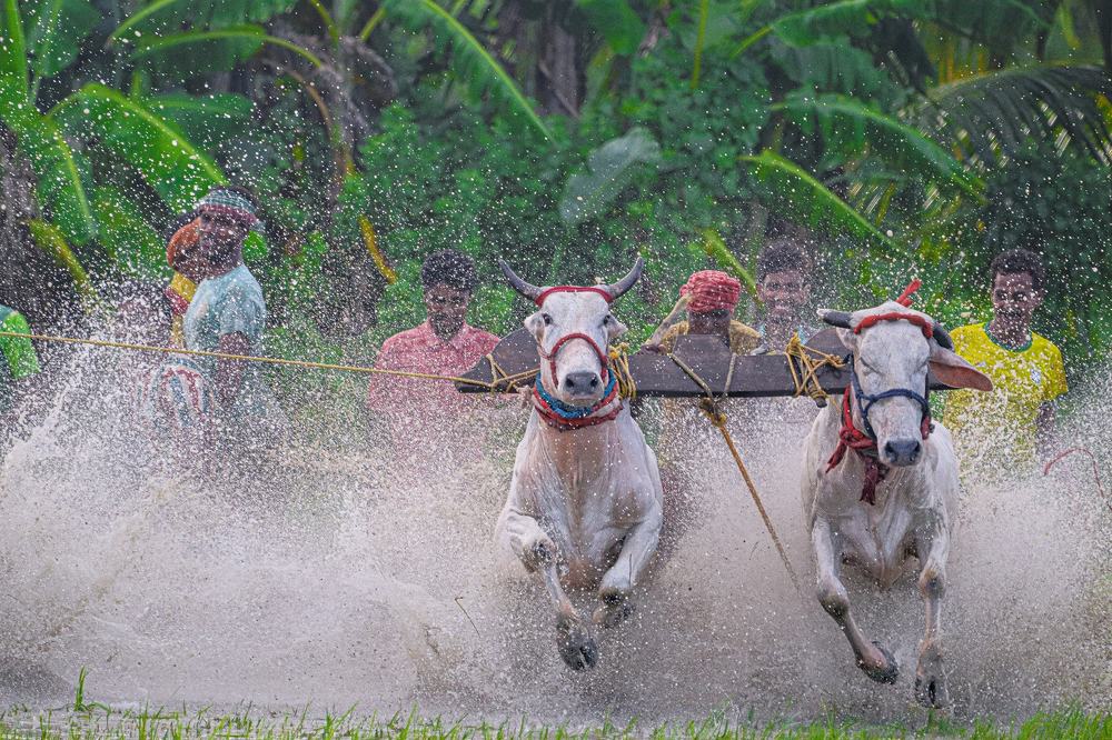 Photograph by debraj biswas