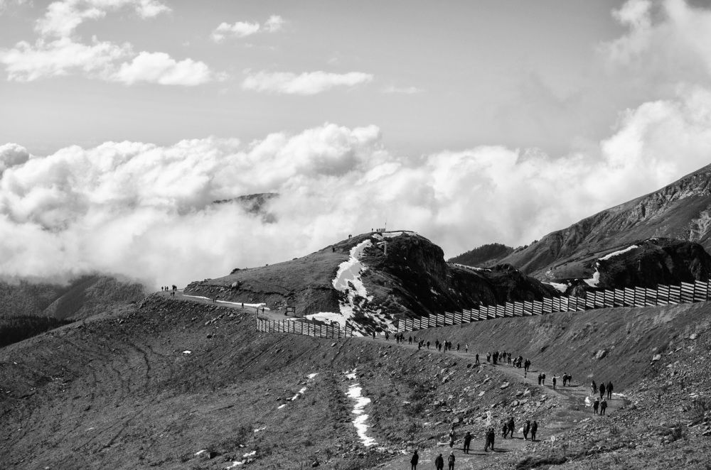 Фотография автора Людмила Куприянова